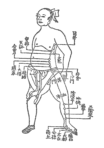 脾　大阪　鍼灸院（針灸院）　豊中