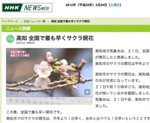 高知 全国で最も早くサクラ開花