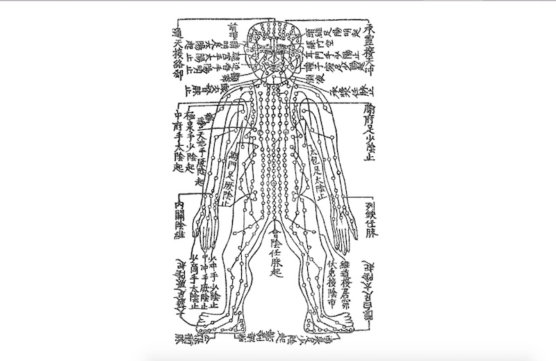 鍼灸大成 任脈図』 | 鍼灸治療家集団,一鍼堂