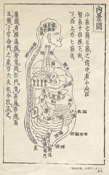 内景図 「類経図翼」