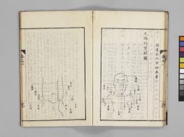 『経穴纂要 5巻』（京都大学附属図書館所蔵）