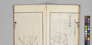 『経穴纂要 5巻』（京都大学附属図書館所蔵）
