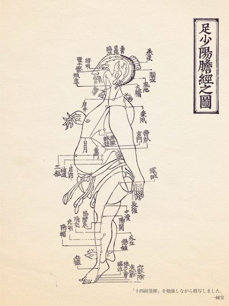 足少陽胆経