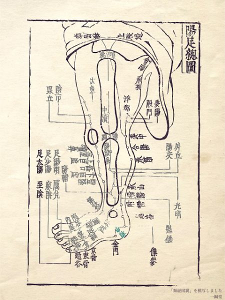 類経図翼「足陽経総図」