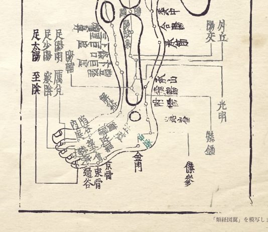 類経図翼「足陽経総図」